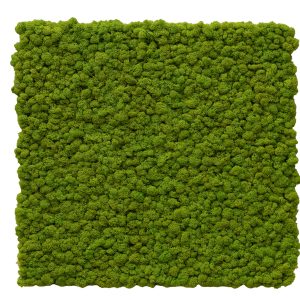 Mosspanel 60x60cm Classic